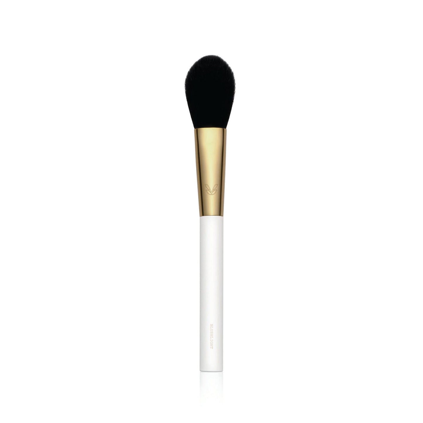 Masterclass Pro makeup brushes