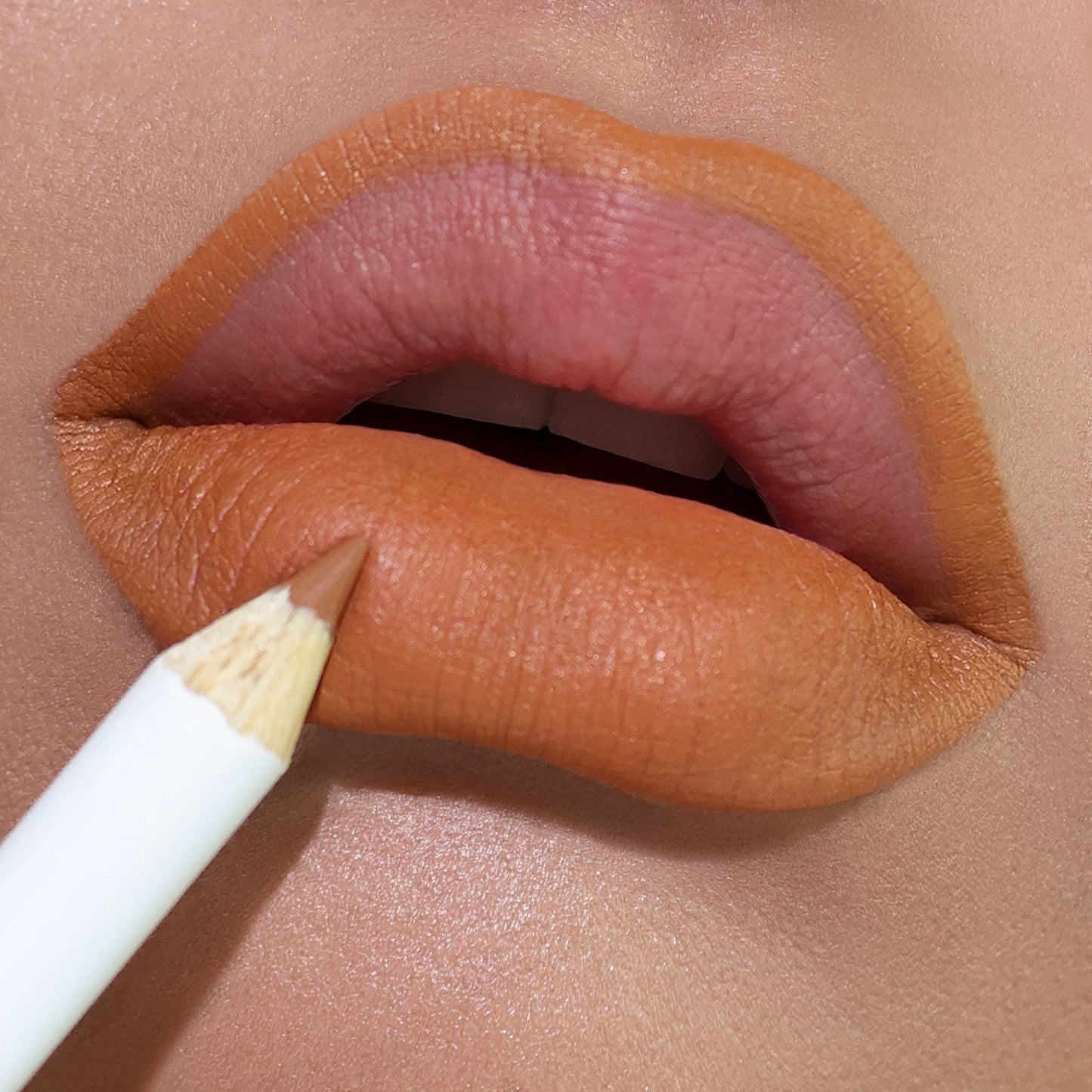 Evocative lip liner