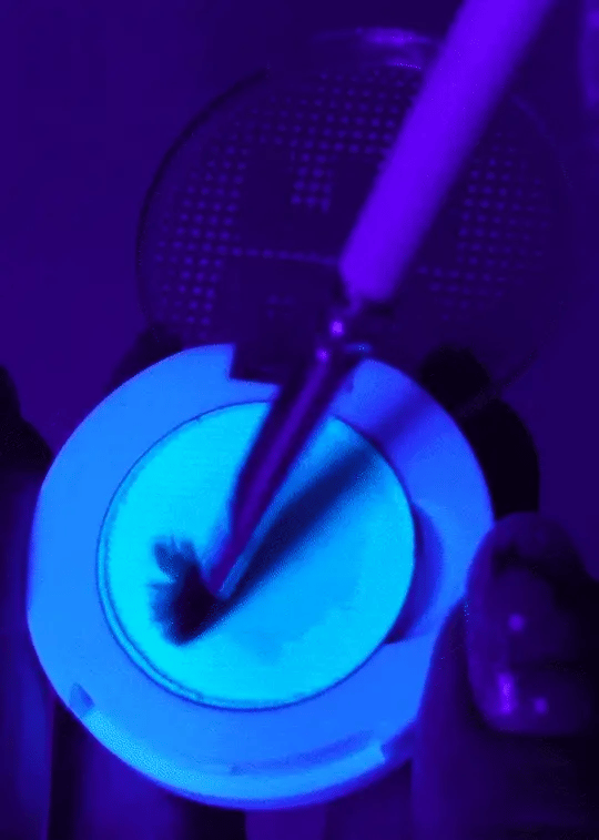 UV IT! (clear UV) eyeliner