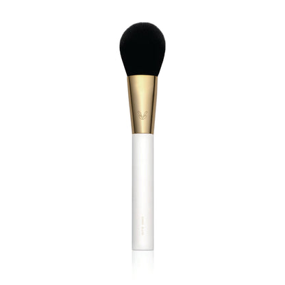 Masterclass Pro makeup brushes