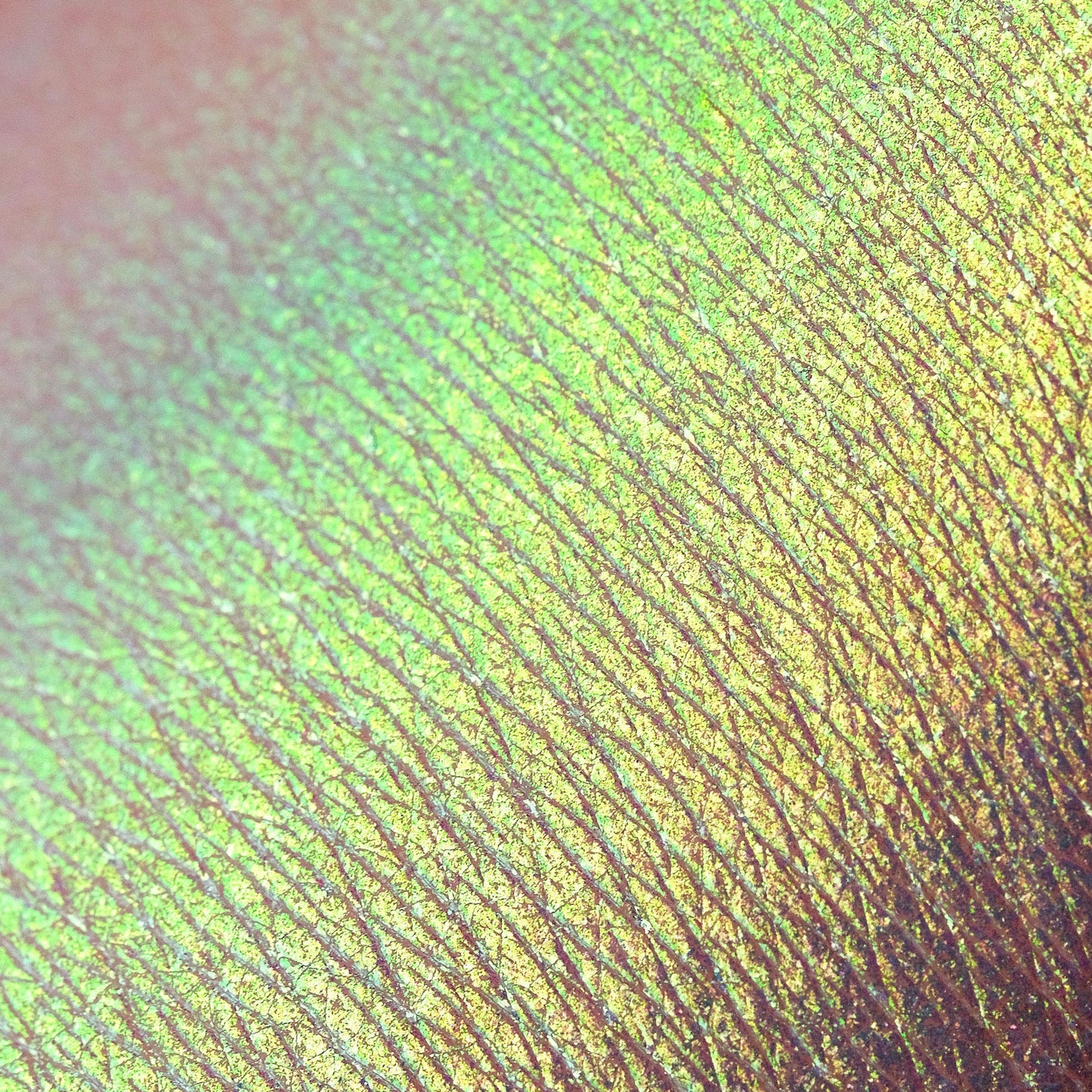 Teddy Bear Opal Multichrome Loose eyeshadow