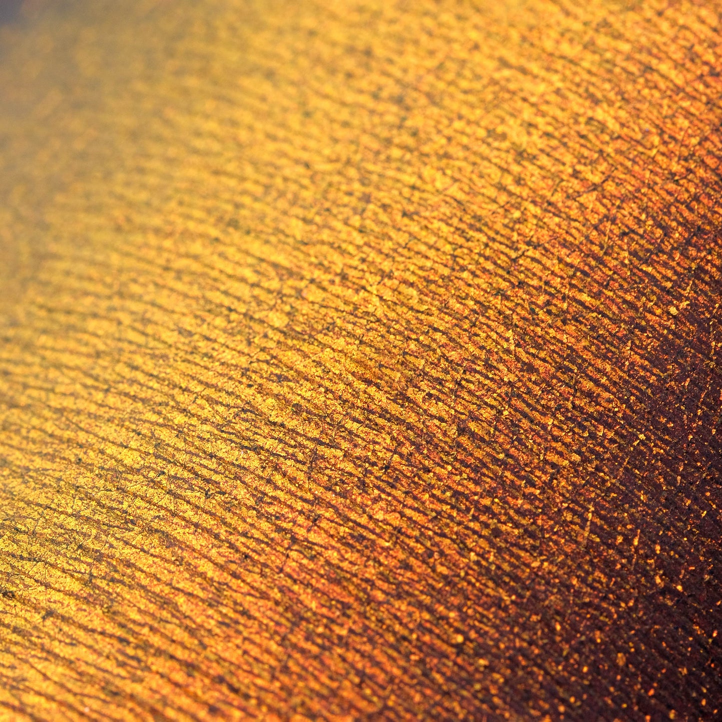 Candlelight Opal Multichrome Loose eyeshadow