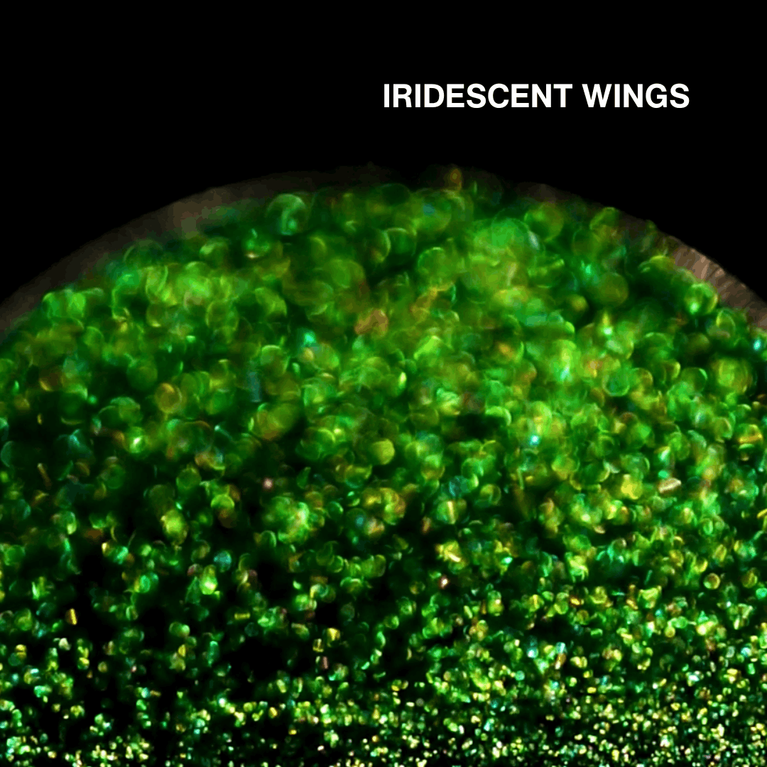 Macro of Iridescent Wings pressed pan, vivid green multichrome with golden flash, shade name in white type top right.