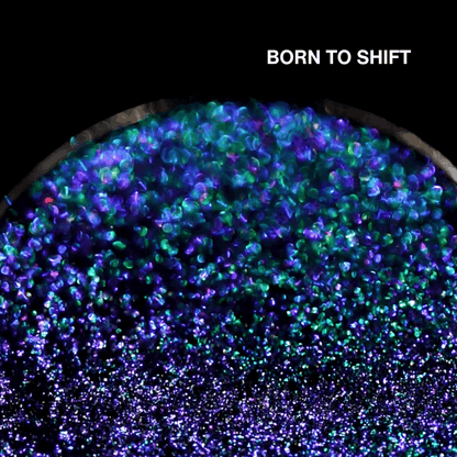 Macro of Born to Shift pressed pan, blue to green to purple multichrome shifting powder, shade name in white type top right.
