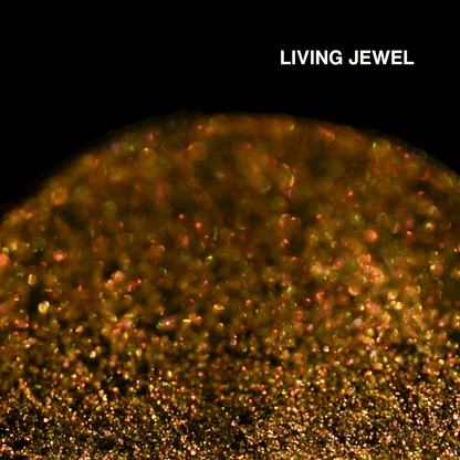 Macro of Living Jewel pressed pan, warm gold copper multichrome with pink and green sparks, shade name in white type top right.