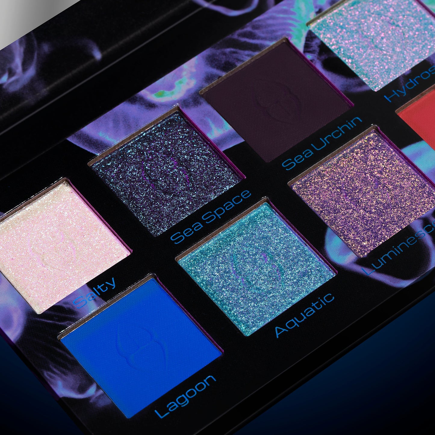 Don't Be Jelly Remastered eyeshadow palette