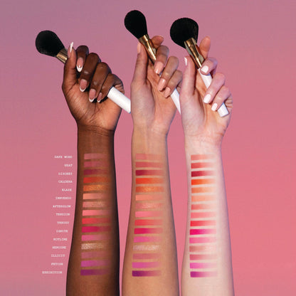 Masterclass Pro cheek palette