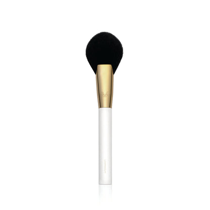 Masterclass Pro makeup brushes