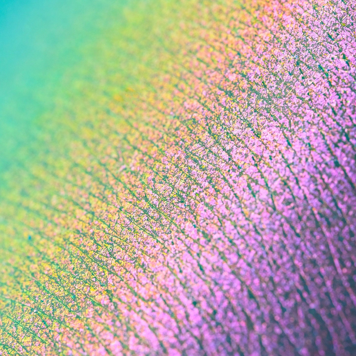 Bossy Boots Opal Moonstone Loose eyeshadow