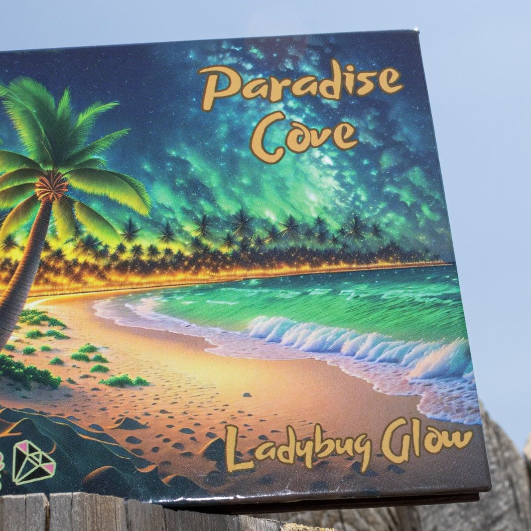 Paradise Cove eyeshadow palette