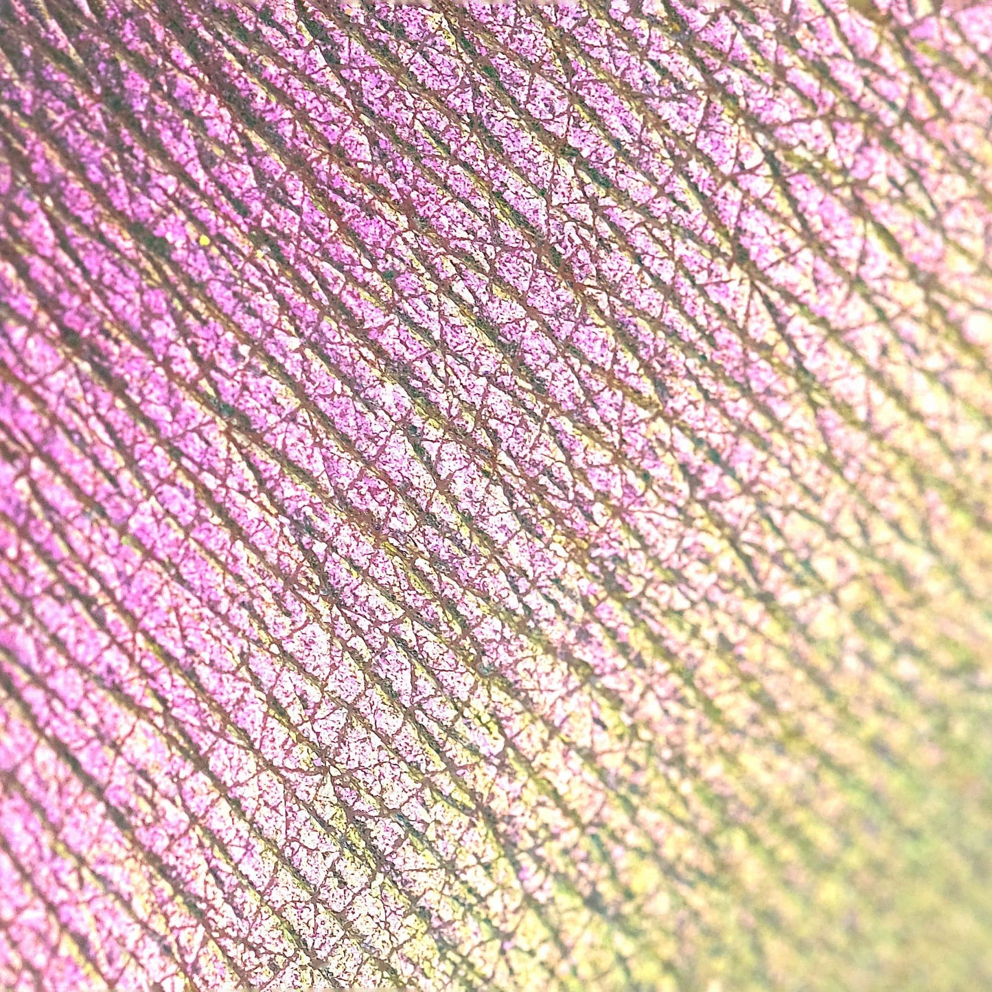 Rockabye Baby Opal Multichrome Loose eyeshadow