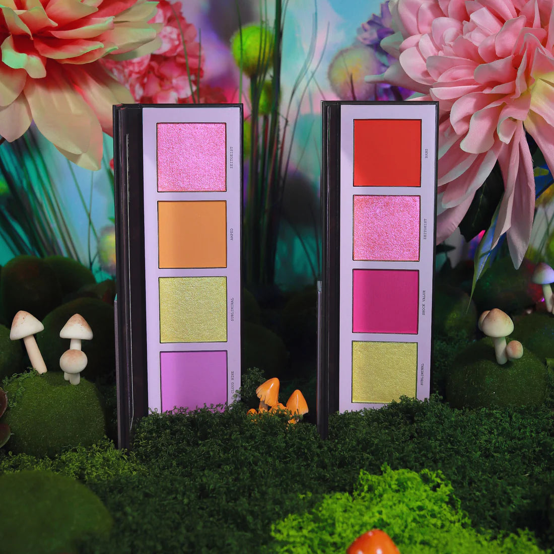 Masterclass Psilocybin cheek palette