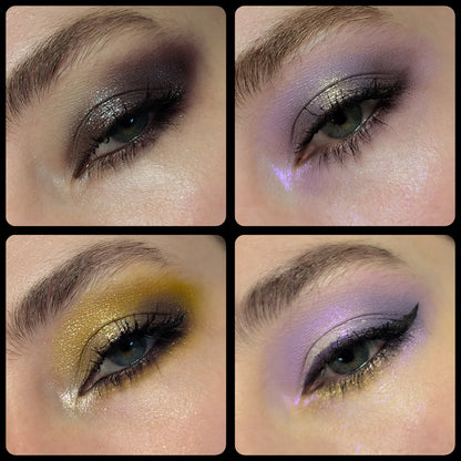 Paladin eyeshadow palette