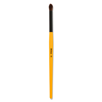 The expansion eye brush set