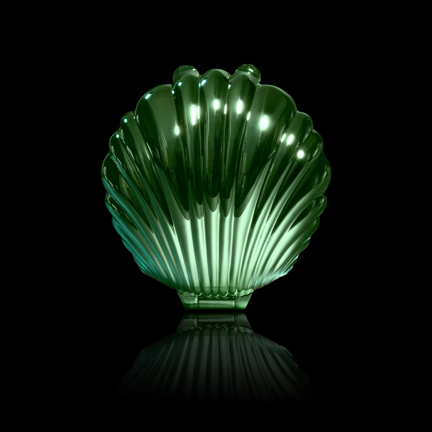 Dewlight glow closed in an iridescent green seashell compact, one of the surprise shell colours