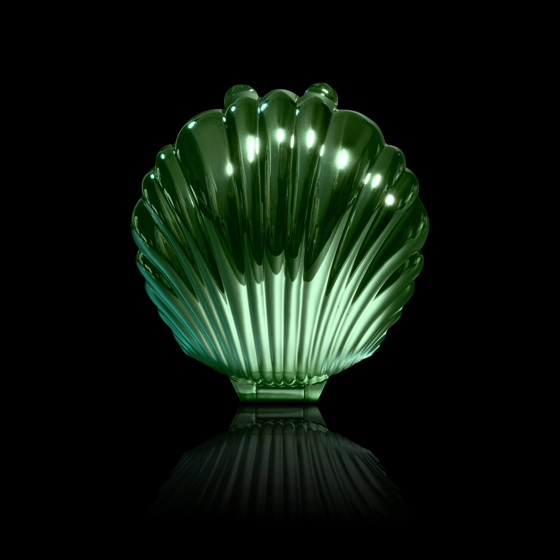 Dewlight glow closed in an iridescent green seashell compact, one of the surprise shell colours