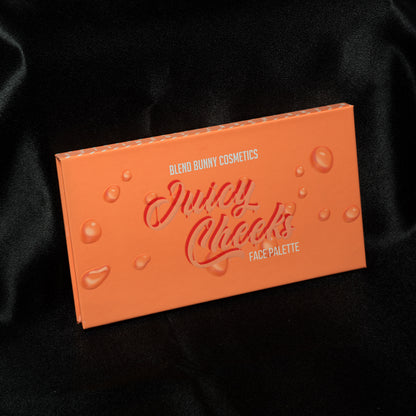 Juicy cheeks eyeshadow palette by Blend Bunny Comsetics closed