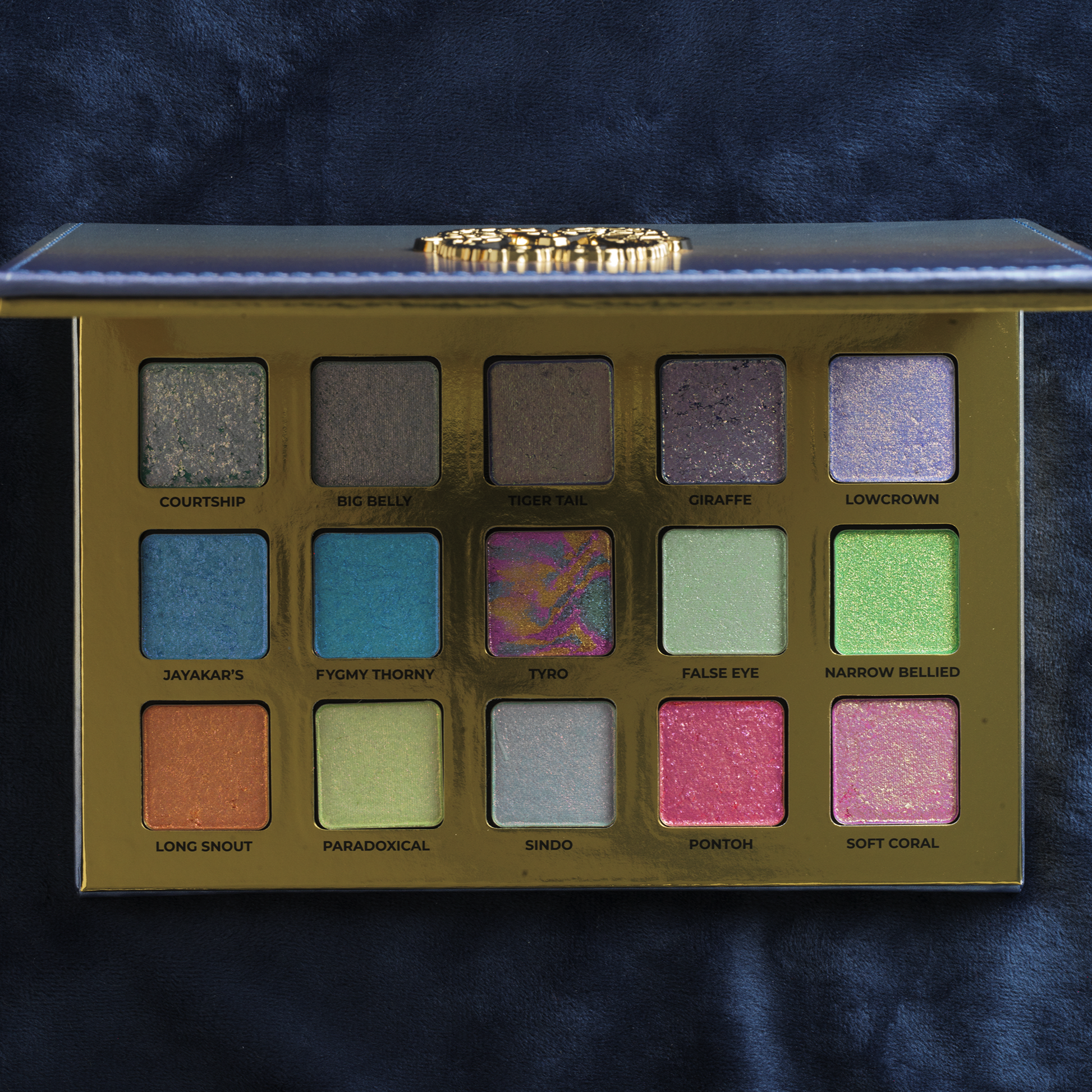 Seahorse palette opened by Adept Cosmetics